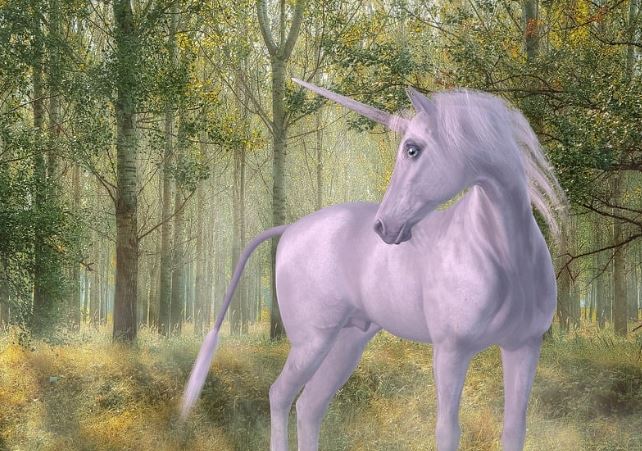 8 symbolic meanings of dreaming of unicorns