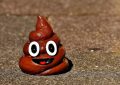 6 symbolic meanings of dreaming about the smell of poop