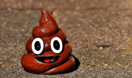 6 symbolic meanings of dreaming about the smell of poop
