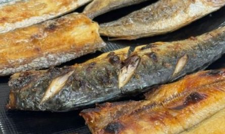 6 symbolic meanings of dreaming of fish bones
