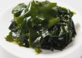 8 symbolic meanings of dreaming of seaweed