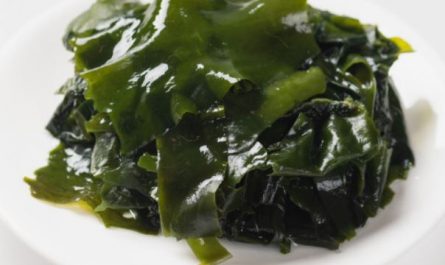 8 symbolic meanings of dreaming of seaweed