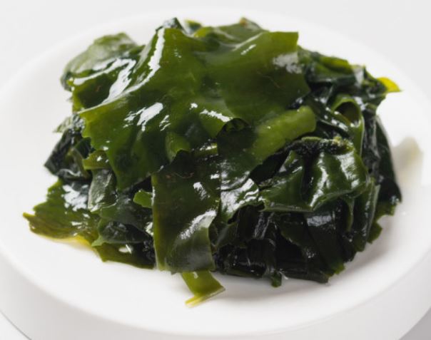 8 symbolic meanings of dreaming of seaweed