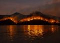 7 symbolic meanings of dreaming of forest fires
