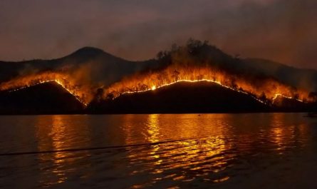 7 symbolic meanings of dreaming of forest fires