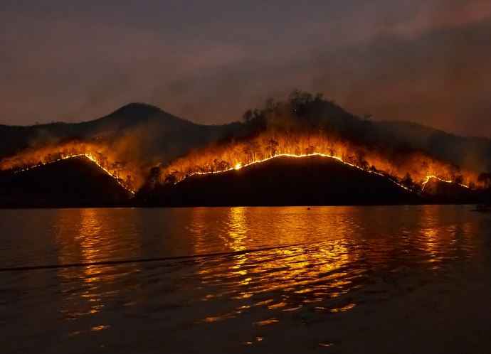 7 symbolic meanings of dreaming of forest fires