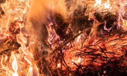 6 symbolic meanings of dreaming of Fairy Fire