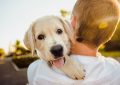 7 symbolic meanings of dreaming about having a dog