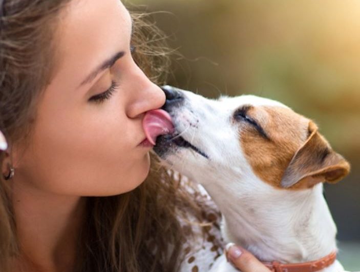 7 symbolic meanings of dreaming of licking a dog