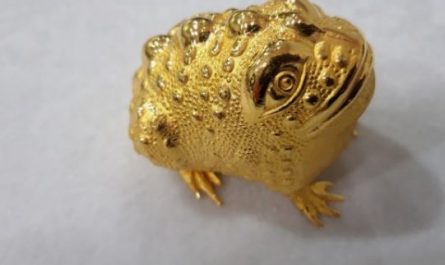 6 symbolic meanings of dreaming of a golden toad