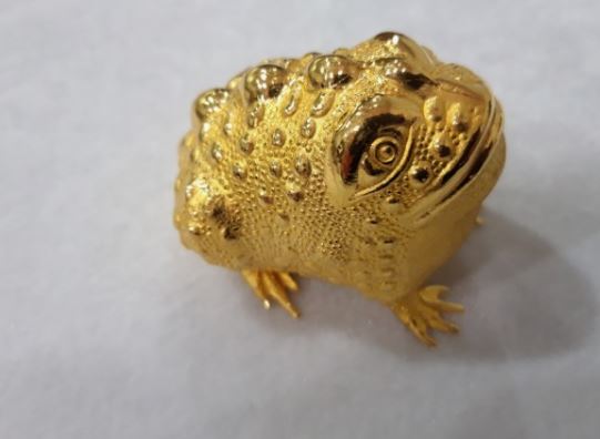 6 symbolic meanings of dreaming of a golden toad