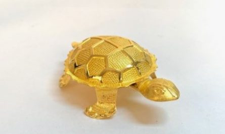 7 symbolic meanings of dreaming of a golden turtle