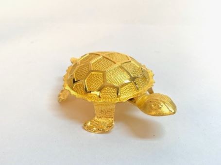 7 symbolic meanings of dreaming of a golden turtle