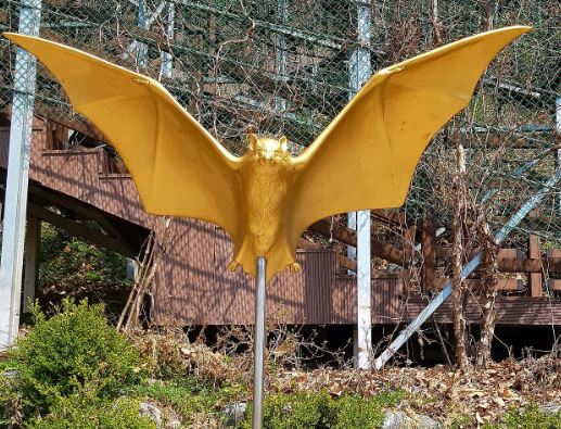 6 symbolic meanings of dreaming of golden bats