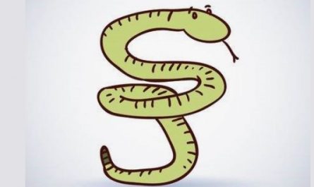7 symbolic meanings of dreaming of a long snake