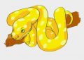 6 symbolic meanings of dreaming of earthworms biting