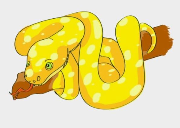 6 symbolic meanings of dreaming of earthworms biting