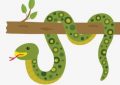 6 symbolic meanings of dreaming about bugs making holes