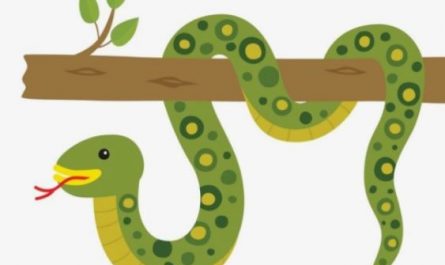 6 symbolic meanings of dreaming about bugs making holes