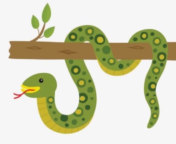 6 symbolic meanings of dreaming about bugs making holes