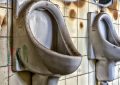 5 symbolic meanings of dreaming of dirty toilets
