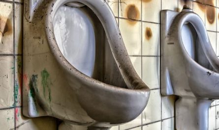 5 symbolic meanings of dreaming of dirty toilets