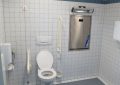 6 symbolic meanings of dreaming about snakes coming out of the bathroom