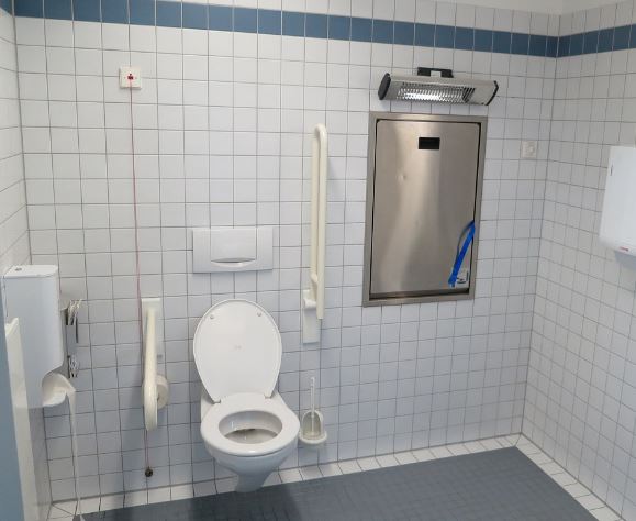 6 symbolic meanings of dreaming about snakes coming out of the bathroom