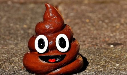 5 symbolic meanings of Dream about goat droppings