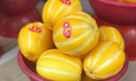 5 symbolic meanings of Dream about cucumbers