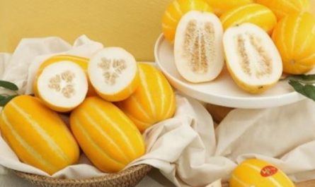 5 symbolic meanings of Dream of Eating melons