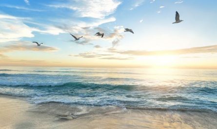 5 symbolic meanings of Dreaming of clear sea