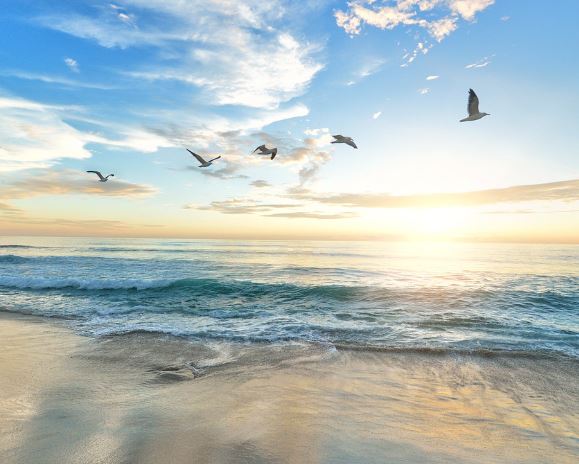 5 symbolic meanings of Dreaming of clear sea