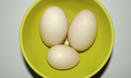 5 symbolic meanings of Dream about duck eggs