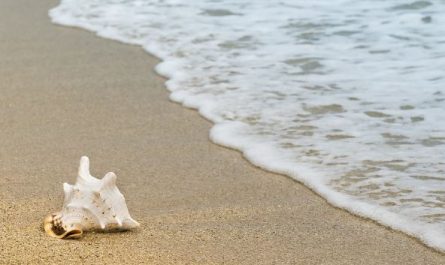 5 symbolic meanings of Dream about crashing waves