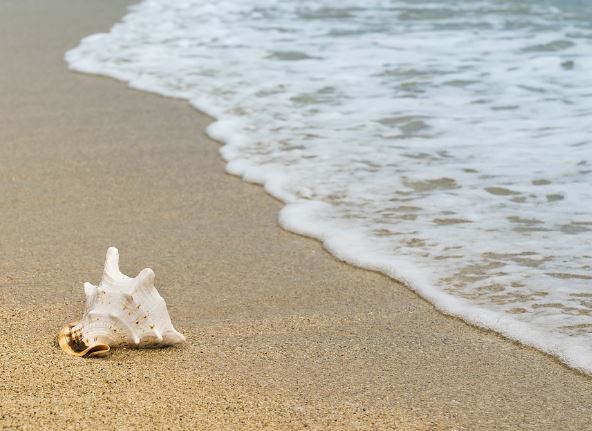 5 symbolic meanings of Dream about crashing waves