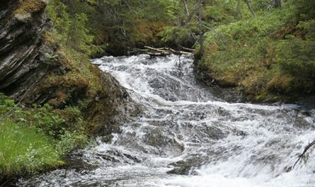 5 symbolic meanings of Dream about clear rivers