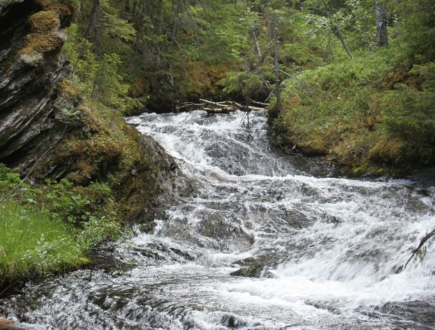 5 symbolic meanings of Dream about clear rivers