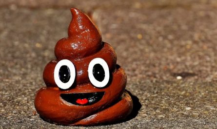 5 Spiritual Meanings of Dream about blood in feces