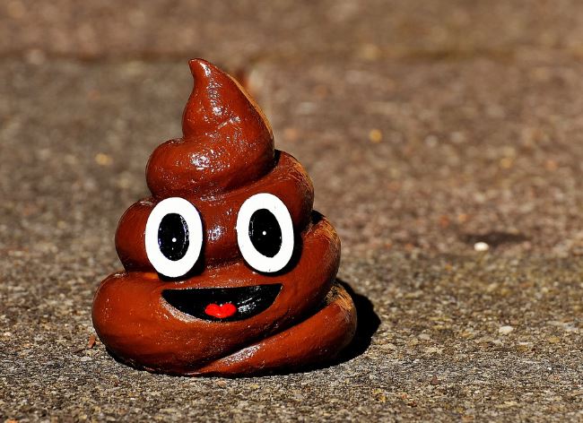 5 Spiritual Meanings of Dream about blood in feces