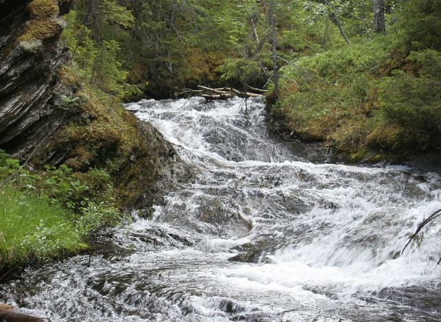 5 Spiritual Meanings of Dream about flooding river