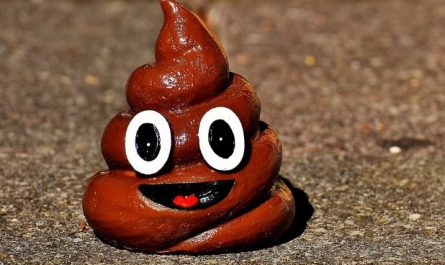 6 Spiritual Meanings of Dream about poop in your hands