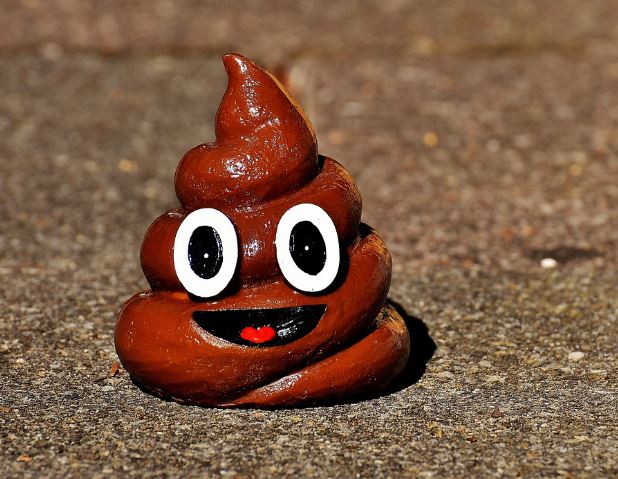 6 Spiritual Meanings of Dream about poop in your hands