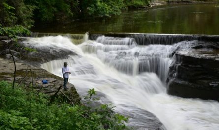 5 Spiritual Meanings of Dream about river water