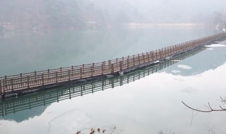 5 Spiritual Meanings of Dream about falling into a river