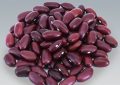 5 Spiritual Meanings of Dreaming of kidney beans