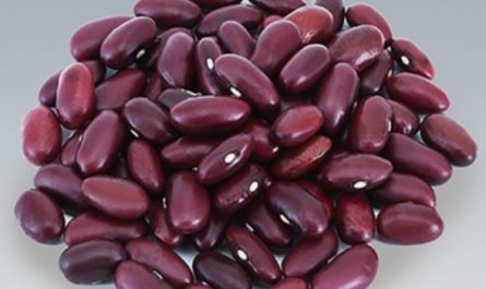 5 Spiritual Meanings of Dreaming of kidney beans