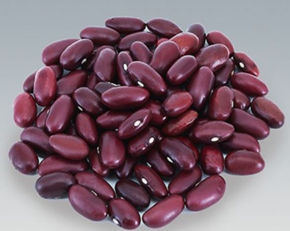 5 Spiritual Meanings of Dreaming of kidney beans