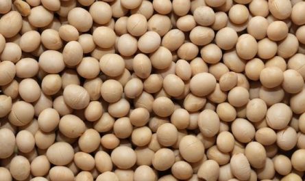 5 Spiritual Meanings of Dream about soybeans