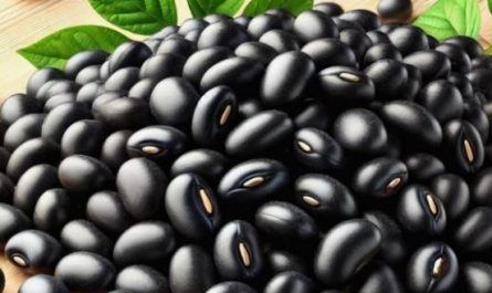 5 Spiritual Meanings of Dream about black beans
